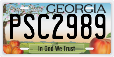 GA license plate PSC2989