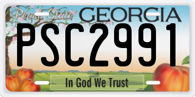 GA license plate PSC2991