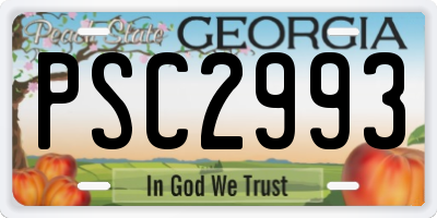 GA license plate PSC2993