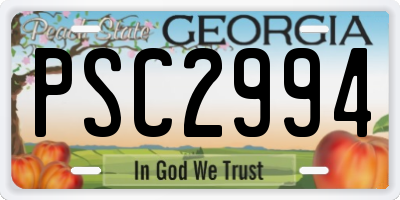 GA license plate PSC2994