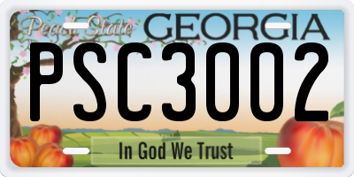 GA license plate PSC3002