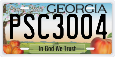 GA license plate PSC3004