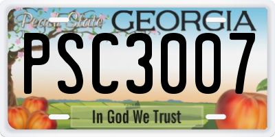 GA license plate PSC3007