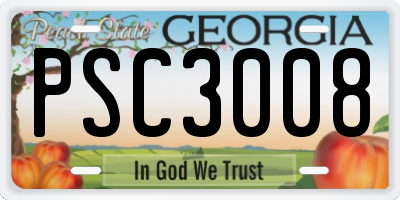 GA license plate PSC3008
