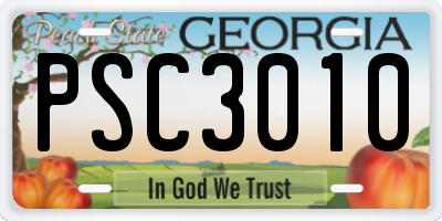 GA license plate PSC3010