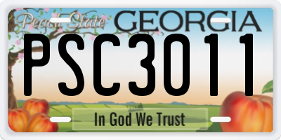 GA license plate PSC3011