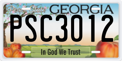 GA license plate PSC3012