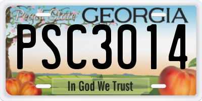 GA license plate PSC3014