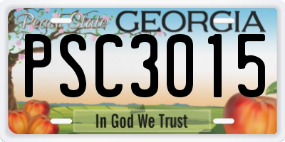 GA license plate PSC3015