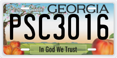 GA license plate PSC3016