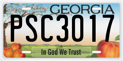 GA license plate PSC3017