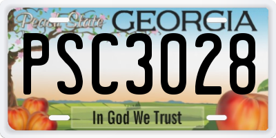 GA license plate PSC3028