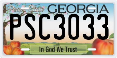 GA license plate PSC3033