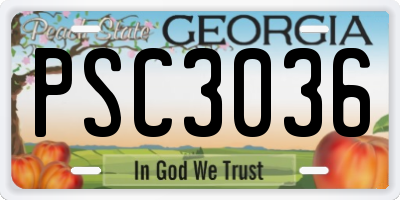 GA license plate PSC3036