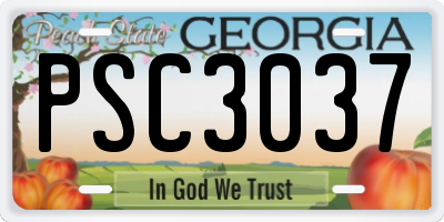 GA license plate PSC3037