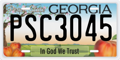 GA license plate PSC3045