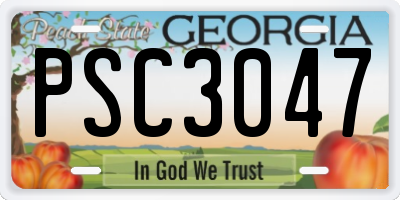 GA license plate PSC3047