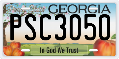 GA license plate PSC3050