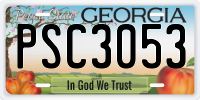 GA license plate PSC3053