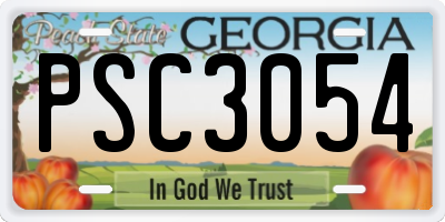 GA license plate PSC3054