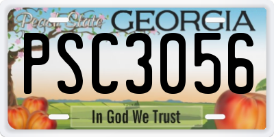 GA license plate PSC3056