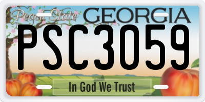 GA license plate PSC3059