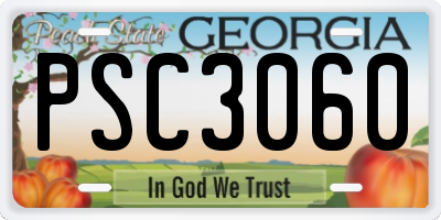 GA license plate PSC3060