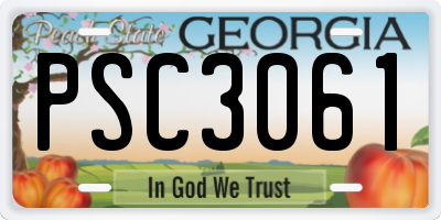GA license plate PSC3061