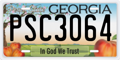 GA license plate PSC3064