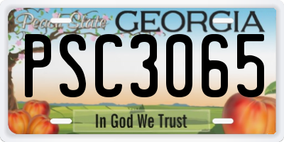 GA license plate PSC3065