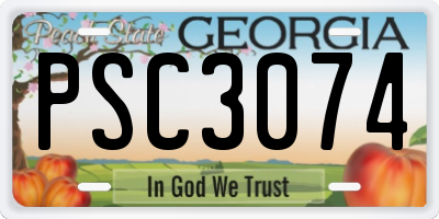 GA license plate PSC3074