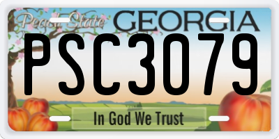 GA license plate PSC3079