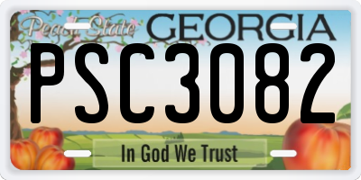 GA license plate PSC3082