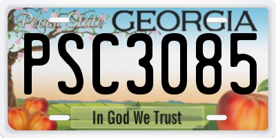 GA license plate PSC3085