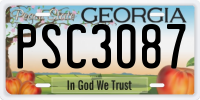 GA license plate PSC3087