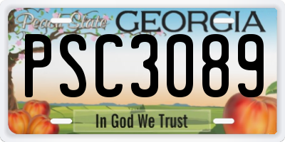 GA license plate PSC3089