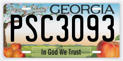 GA license plate PSC3093