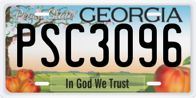 GA license plate PSC3096