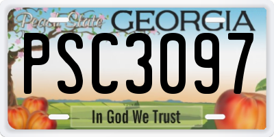 GA license plate PSC3097