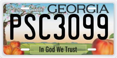 GA license plate PSC3099