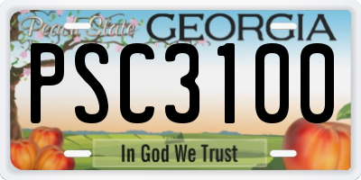 GA license plate PSC3100