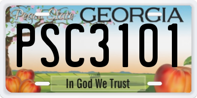 GA license plate PSC3101