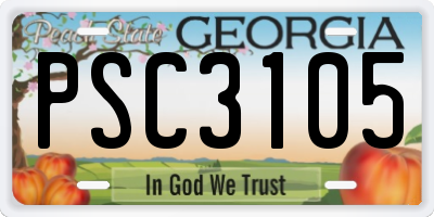 GA license plate PSC3105