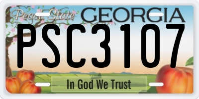 GA license plate PSC3107