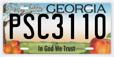 GA license plate PSC3110