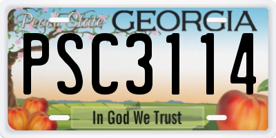 GA license plate PSC3114