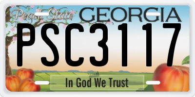 GA license plate PSC3117