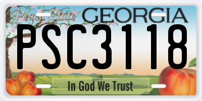 GA license plate PSC3118