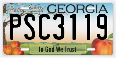 GA license plate PSC3119