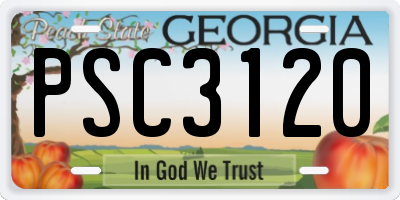 GA license plate PSC3120